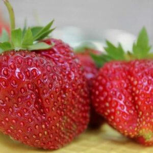 Клубника Кармен