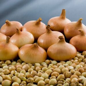 Лук севок Штуттгартер Ризен 0,5 кг