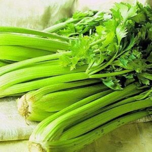 Сельдерей черешковый Спартак( кассета 6 шт)